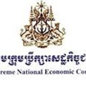 Supreme National Economic Council