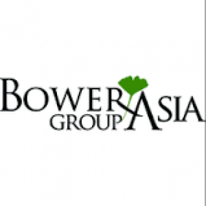 BowerGroupAsia, Inc.