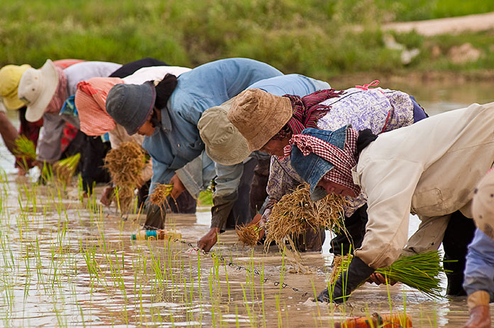 151209-B2B---Article---MFIs-Will-Continue-To-Thrive-Experts-Agree_use