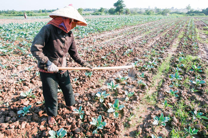 cambodia-tourism-green-belt-prime-minister-featured-image