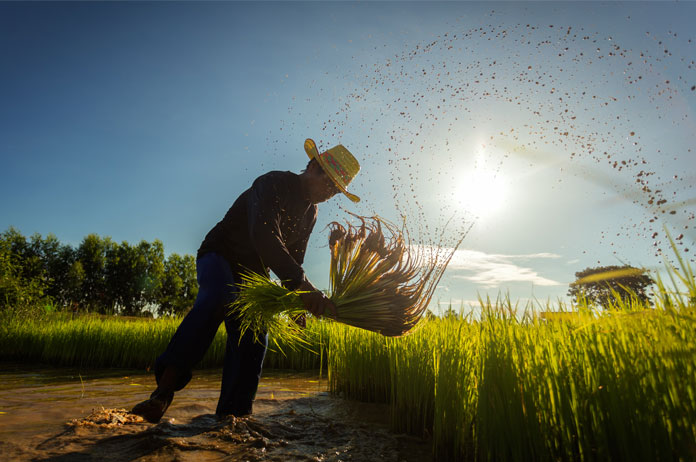 Greater Mekong Region agriculture forum
