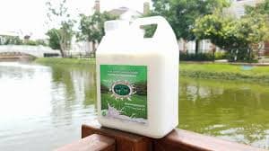 Techo Sen Russey Treb Milk