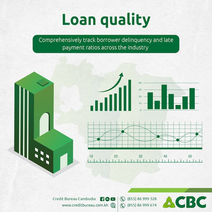 CBC Credit Risk Heat Map for the Cambodian Financial Industry loans quality